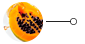 papaya extract